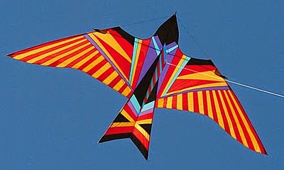 kites%2Bin%2Bthe%2Bsky%2B(13).jpg