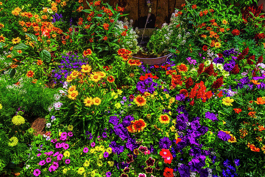 abundance-of-beautiful-flowers-garry-gay.jpg