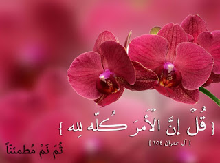 photos-ayat-quranic-verses-15.jpg