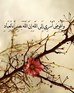 photos-ayat-quranic-verses-17.jpg