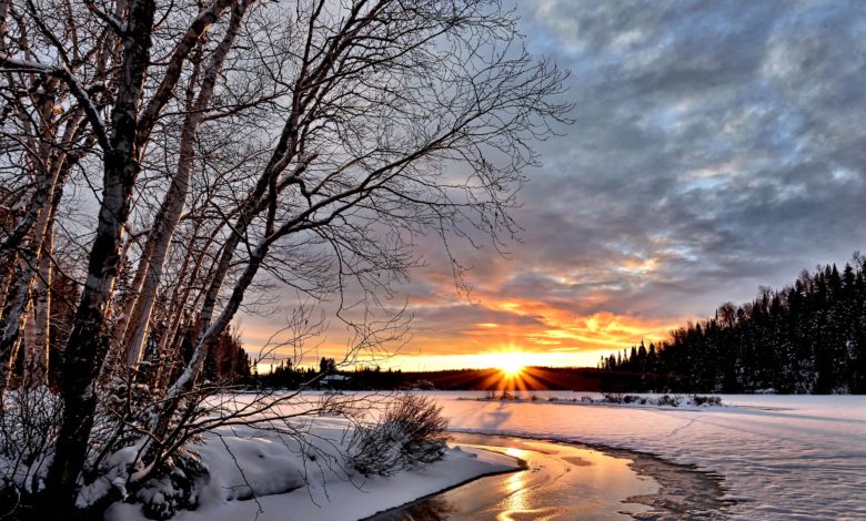 winter-landscape-2995987_1920-780x470.jpg