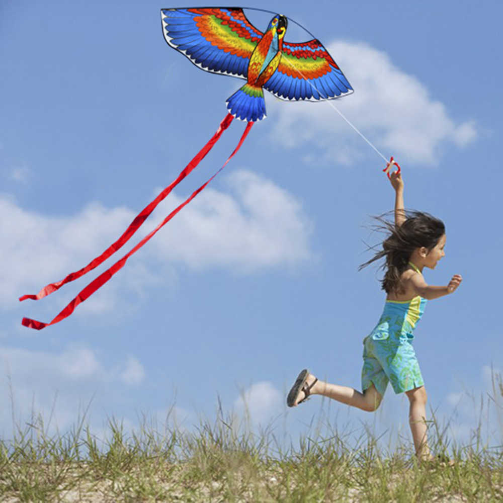 e-Easy-Fly-Kites-Outdoor-Sport-Single-Line.jpg_q50.jpg