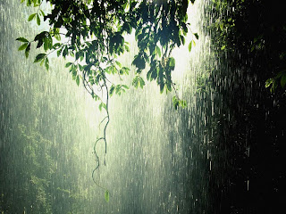 photos_rain_wallpapers_05.jpg