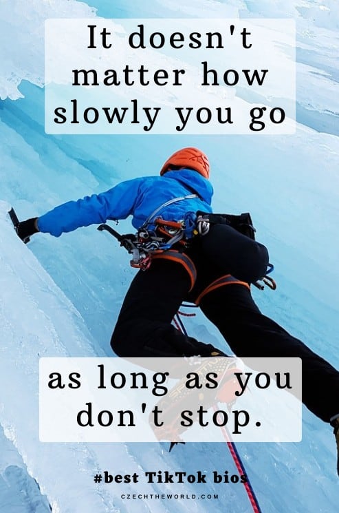 Best-TikTok-Bio-Ideas-6-1.jpg