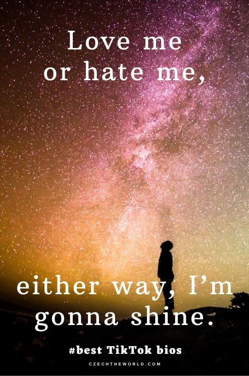 Best-TikTok-Bio-Ideas-10.jpg
