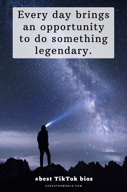 Best-TikTok-Bio-Ideas-7.jpg