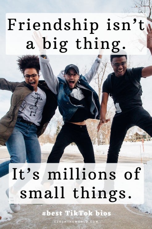 Best-TikTok-Bio-Ideas-8.jpg