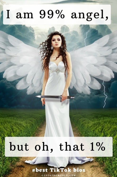 Best-TikTok-bio-ideas.jpg
