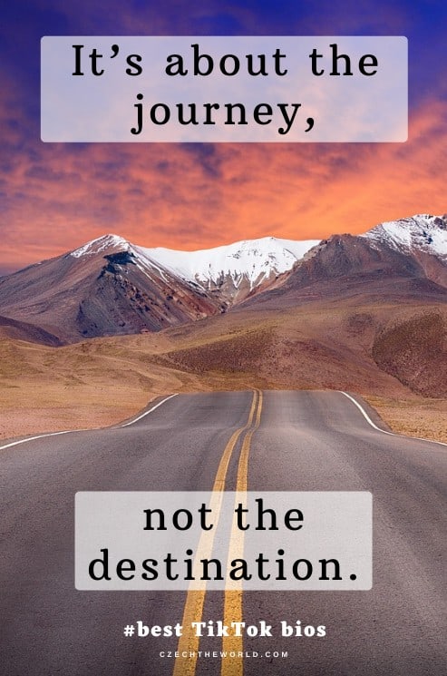 Best-TikTok-Bio-Ideas-4.jpg