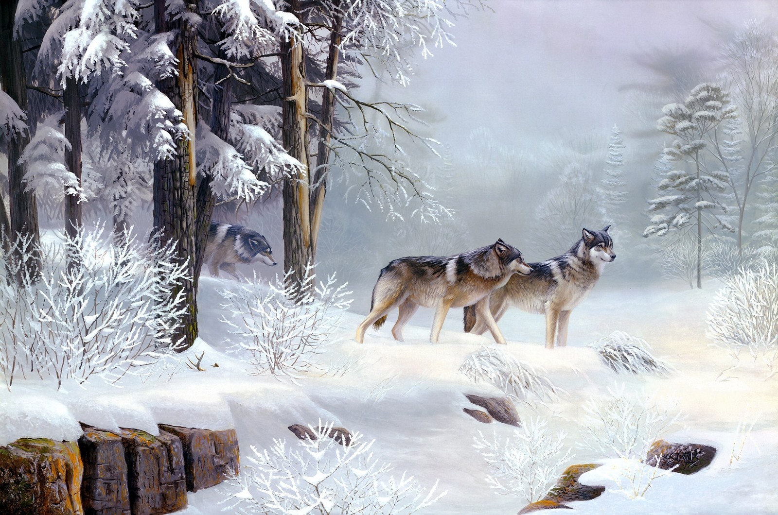 winter-snow-animals-wolves-2250x1490-wallpaper.jpg