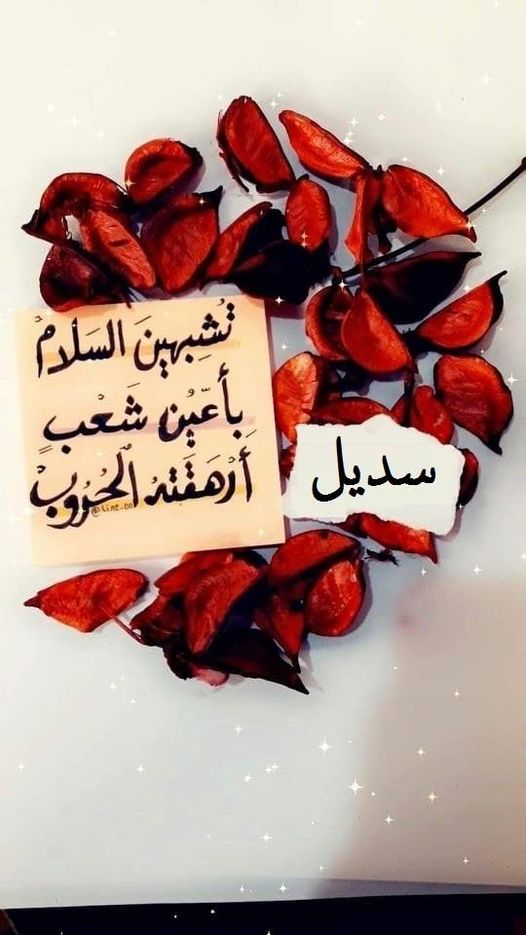 سديل بالورد