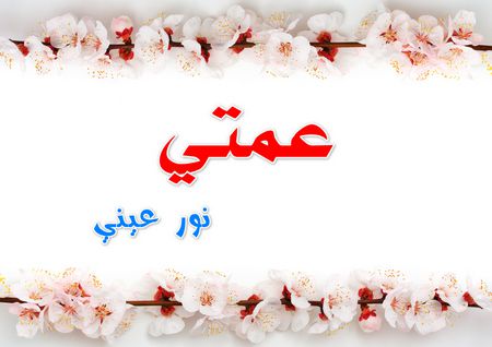 عبارات عن عمتي