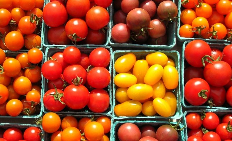 Samye-sladkie-sorta-tomatov.jpg