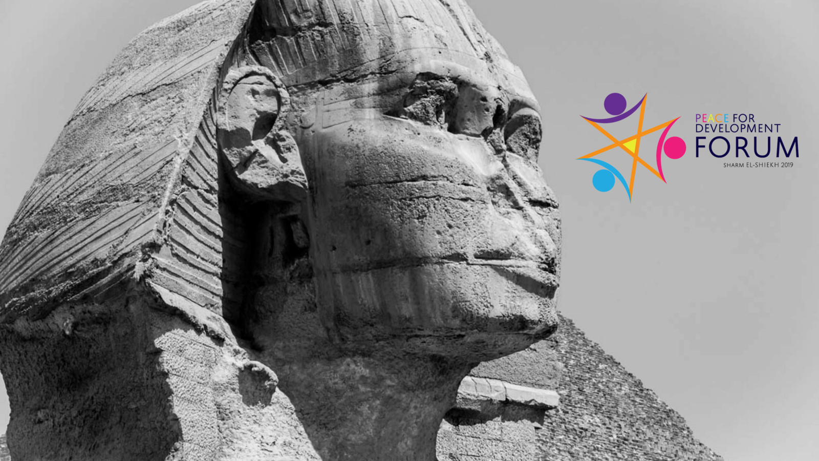 Untitled design (12).png