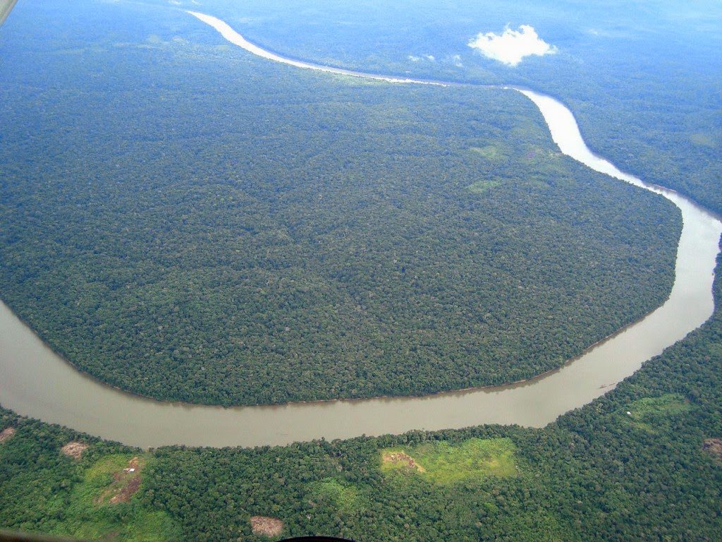 غابة الأمازون