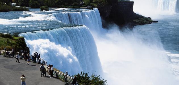 نياجرا فولز