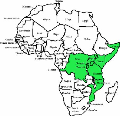 اللغة السواحيلية