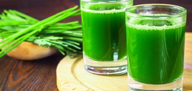 الكلوروفيل