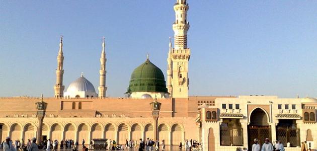 المدينة المنورة