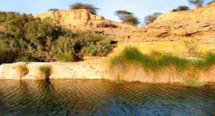 غدير خُم هو غدير قرب الجحفة بين مكة المكرمة والمدينة المنورة