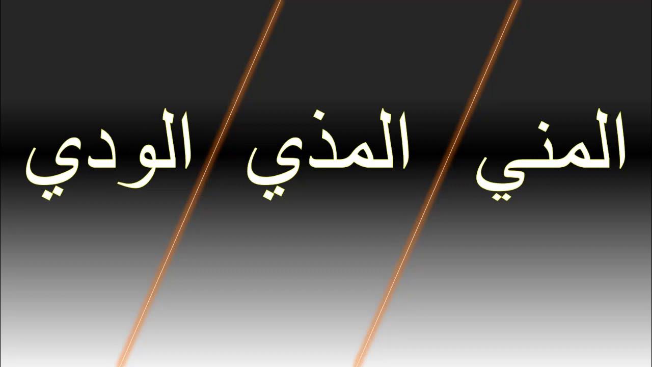 ما هو المذي