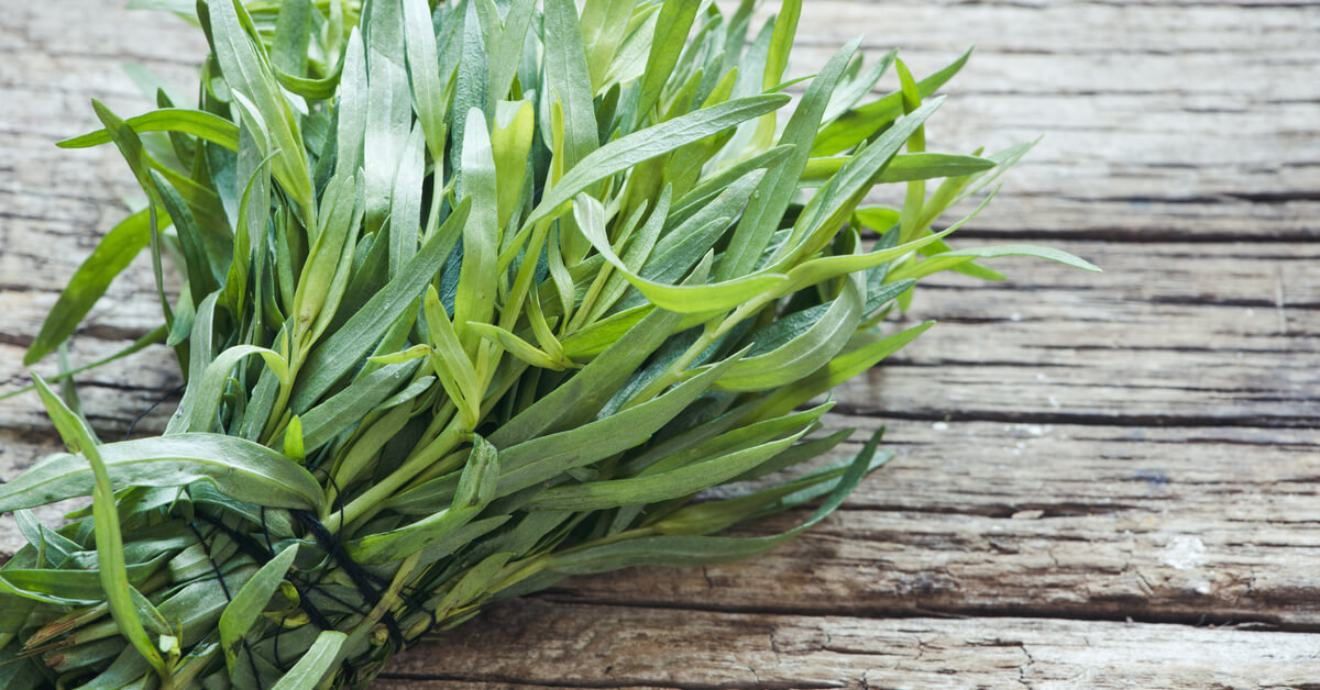 الطَّرْخُون أو الرُّعْلُول أو الحوذان وهو نوع نباتي عشبي يتبع الشيح.