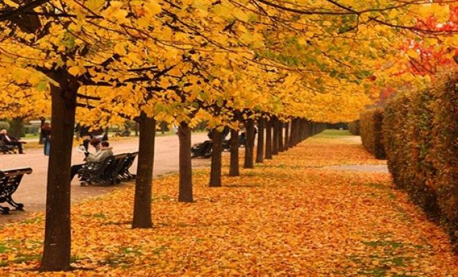 متى يبدأ خريف