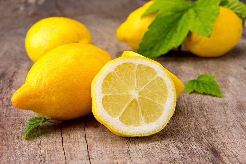 هل الليمون يوقف الدورة 