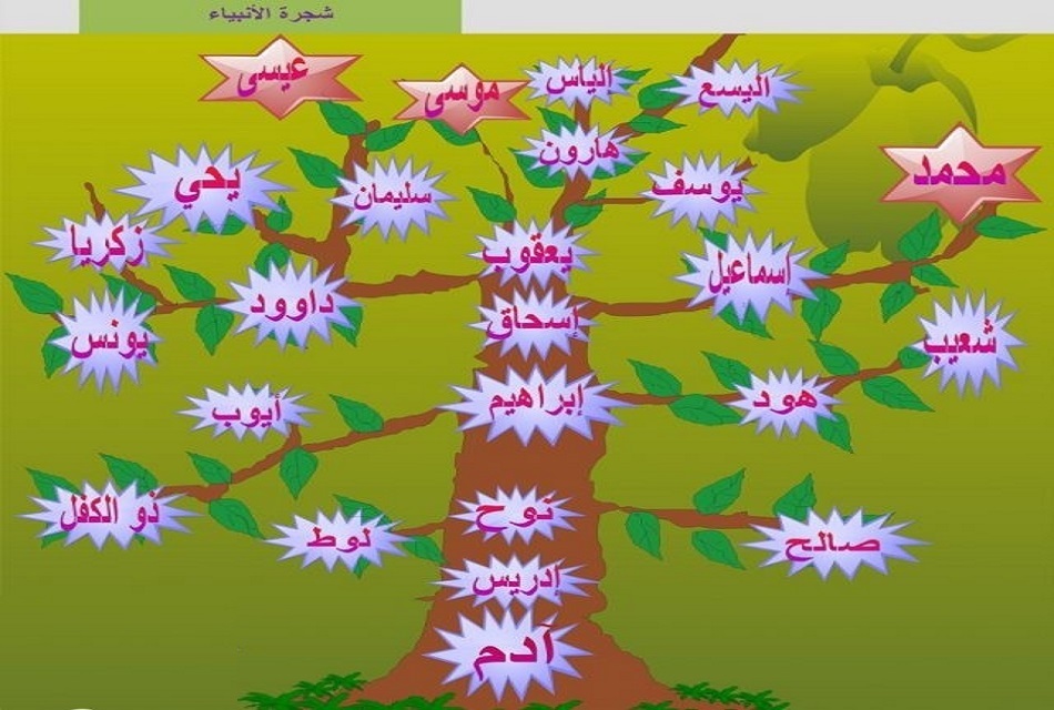  من هم الانبياء الذين ذكرو في القران