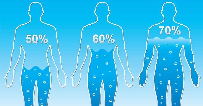 كم نسبة الماء في جسم الانسان