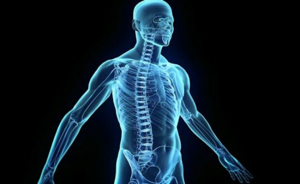 Human-Body-650x400-1.jpg