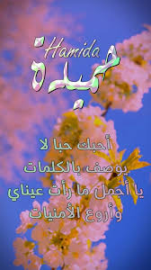 شعر اسم حميدة 
