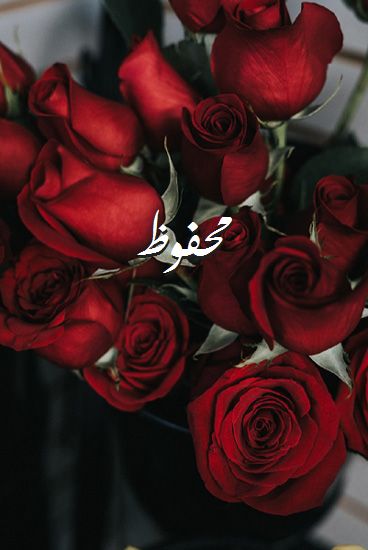 صور-اسم-محفوظ-صور-رومانسية-بالورد.jpg