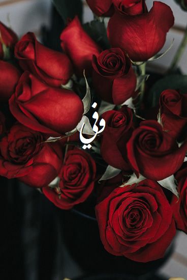 صور-اسم-وفي-صور-رومانسية-بالورد.jpg