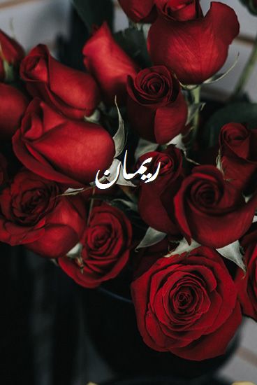 صور-اسم-ريمان-صور-رومانسية-بالورد.jpg