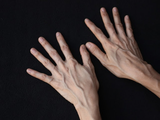 عروق اليدين