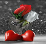 1519162054484.png