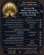 GqhwEQsFzoRfHyw&_nc_zt=23&_nc_ht=scontent.fbgw62-1.jpg