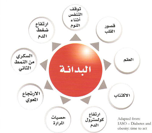 السمنة اسبابها , البدانة وتعريفها , طرق العلاج منها | صقور الإبدآع